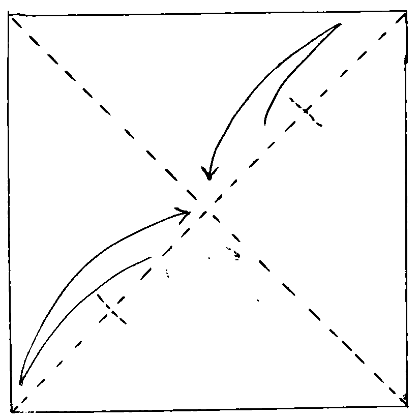 Narwal Diagramm 1