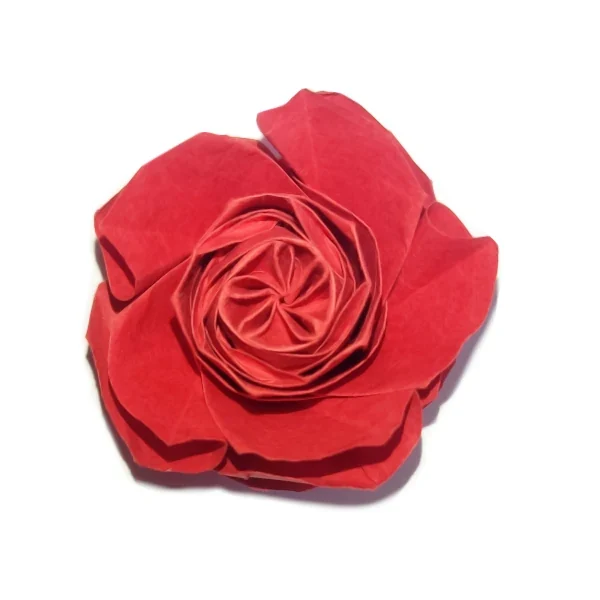 Origami old rose Naomiki Sato